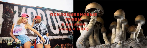 ГАЛЛЮЦИНОГЕННЫЕ ГРИБЫ Армянск